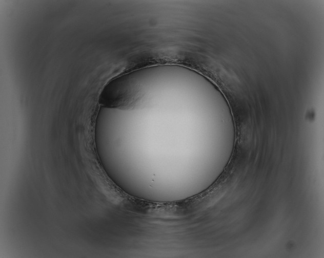 X0000102351201200808081146