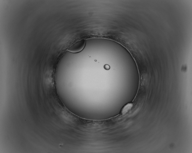 X0000102351202200808081147