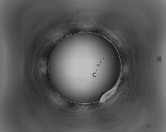 X0000102351204200808081147