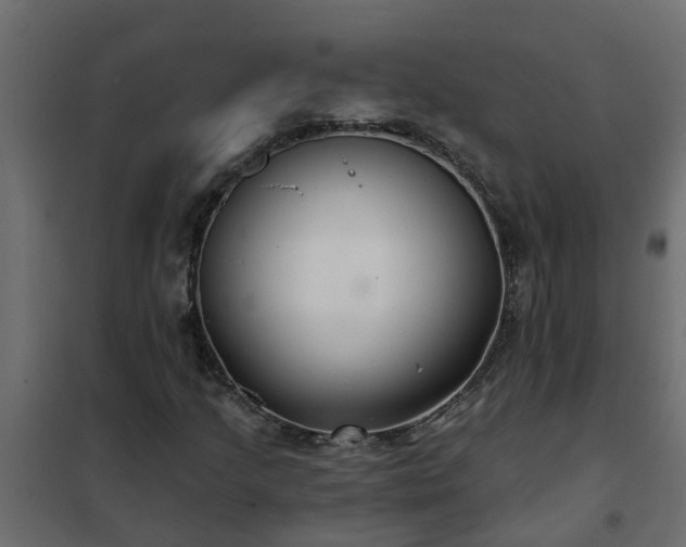 X0000102351205200808081147