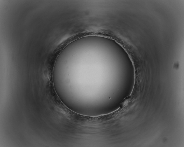 X0000102351206200808081147