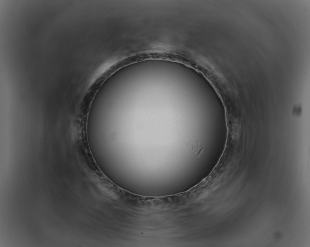 X0000102351208200808081147