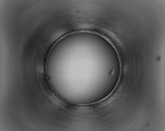 X0000102351209200808081147