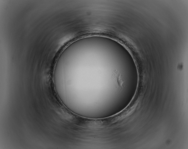 X0000102351210200808081147