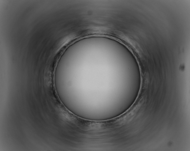 X0000102351211200808081147