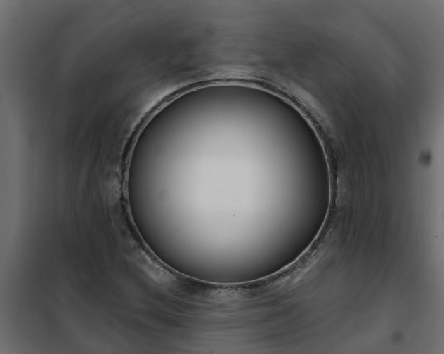 X0000102351212200808081147