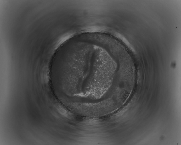 X0000102351213200808081147