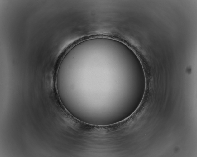 X0000102351214200808081147