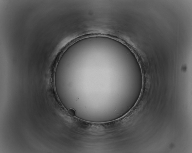 X0000102351215200808081147