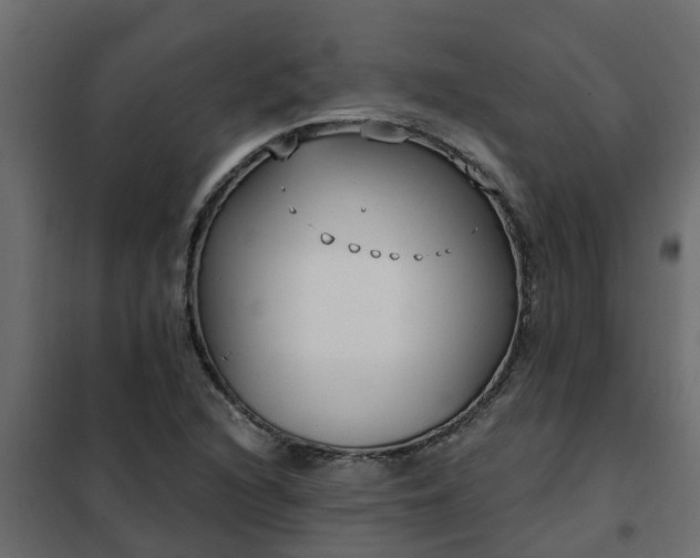 X0000102351216200808081147