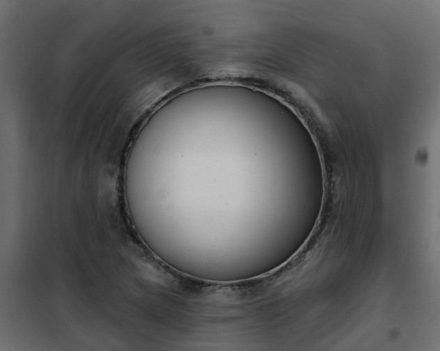 X0000102351217200808081147