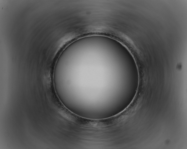 X0000102351218200808081147