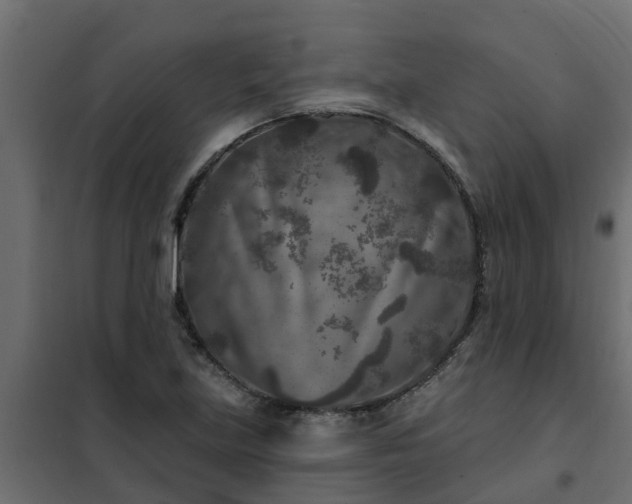 X0000102351219200808081147