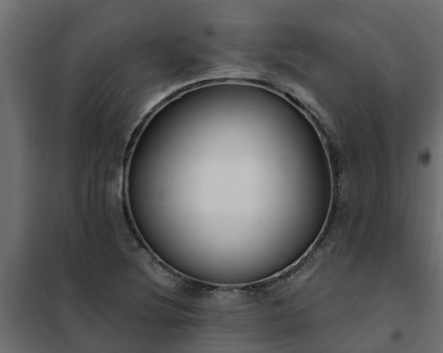 X0000102351220200808081147