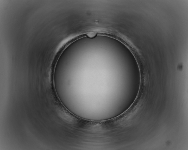 X0000102351222200808081147