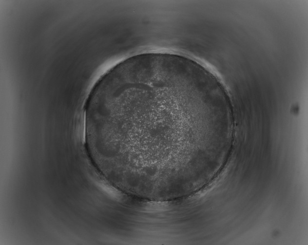 X0000102351223200808081147