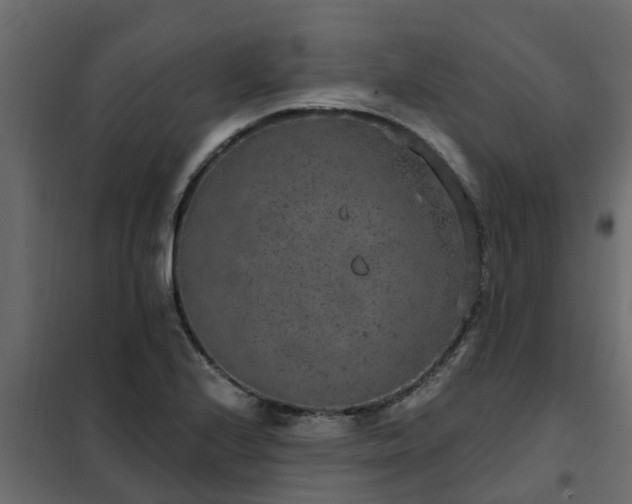 X0000102351224200808081147