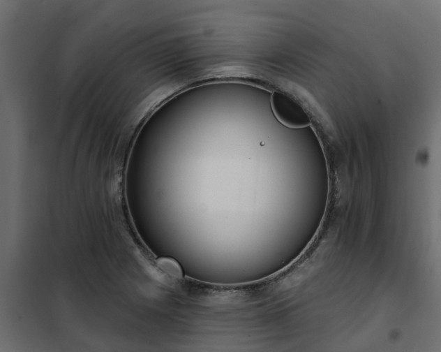 X0000102351225200808081147