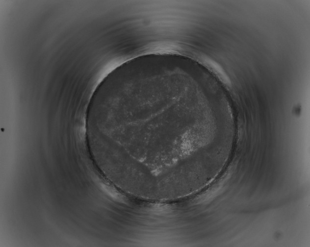 X0000102351226200808081147