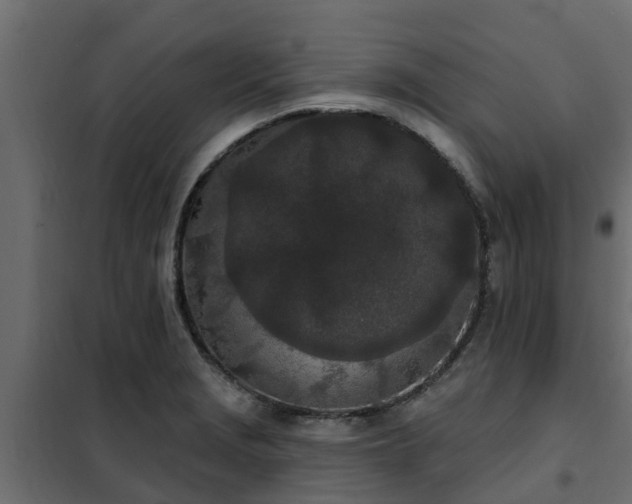 X0000102351229200808081147