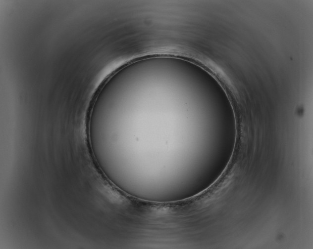 X0000102351230200808081147