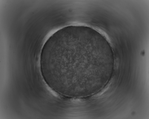 X0000102351231200808081147