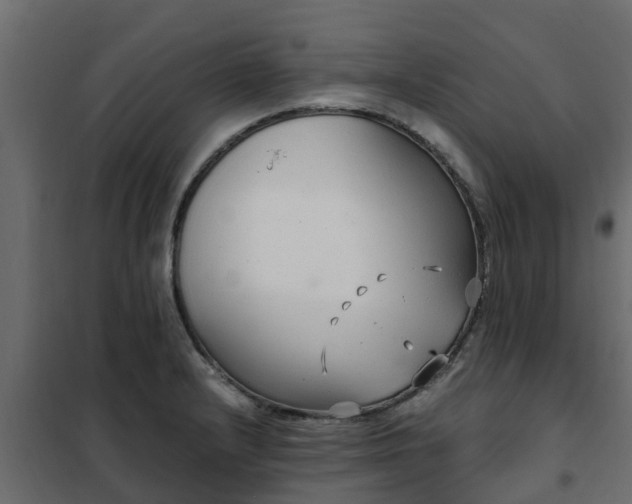 X0000102351232200808081147