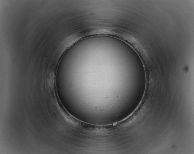 X0000102351233200808081147