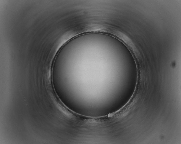 X0000102351234200808081147