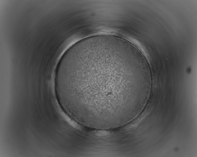 X0000102351235200808081147