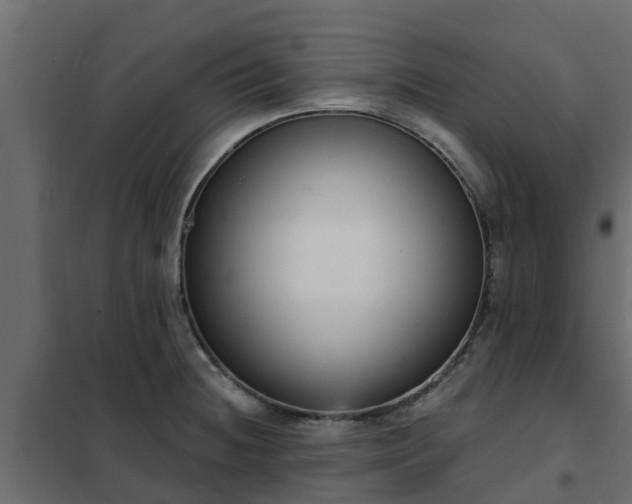 X0000102351236200808081147