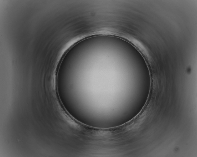 X0000102351238200808081147