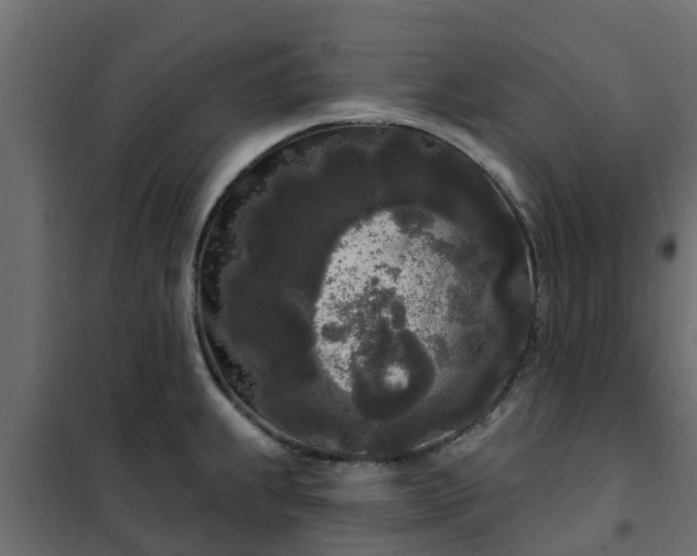 X0000102351239200808081147