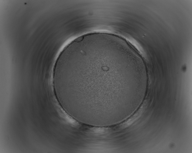 X0000102351240200808081147