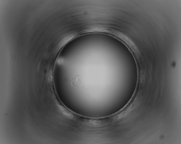 X0000102351241200808081147