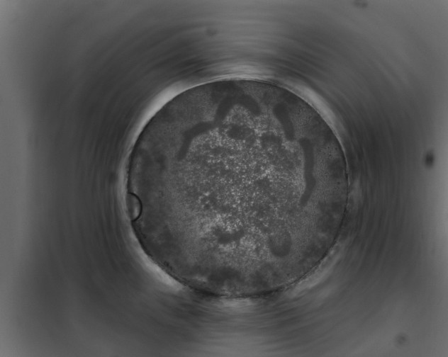 X0000102351243200808081147