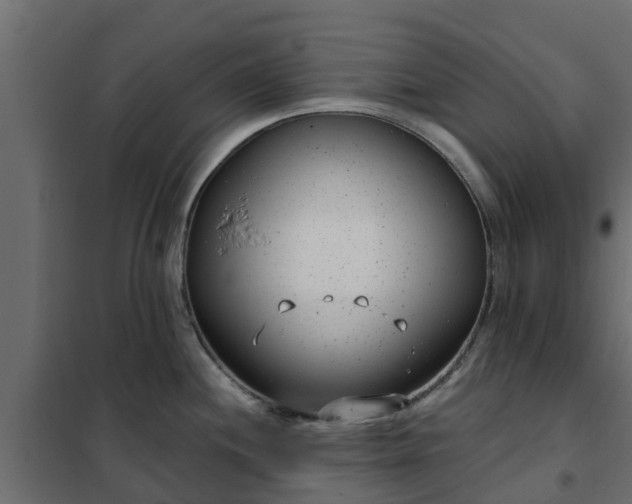 X0000102351244200808081147