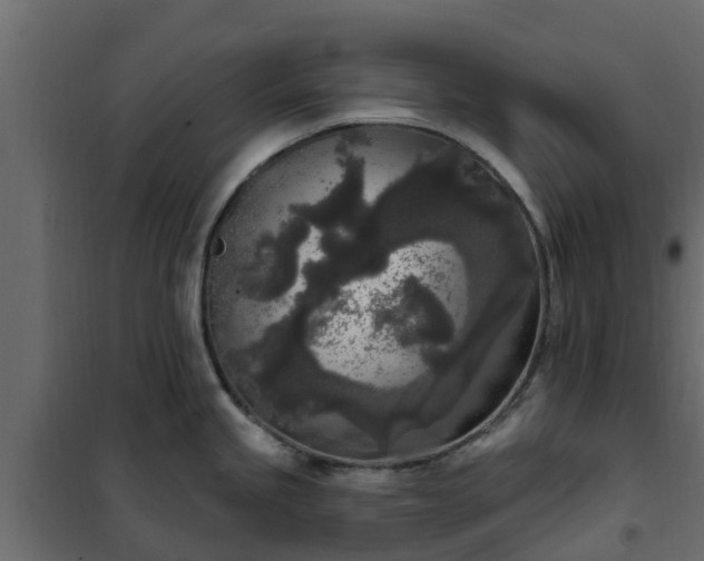 X0000102351245200808081147