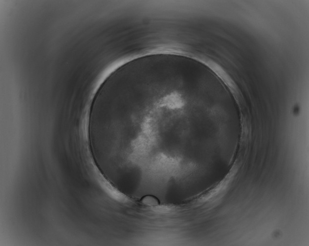 X0000102351246200808081147