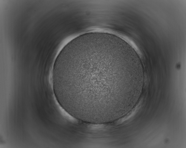 X0000102351247200808081147