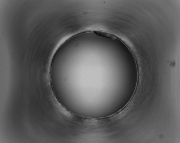 X0000102351248200808081147