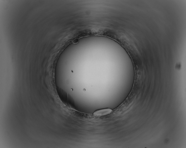 X0000102351249200808081146