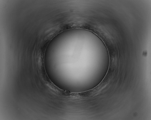 X0000102351250200808081146