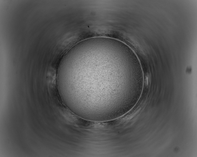 X0000102351251200808081146