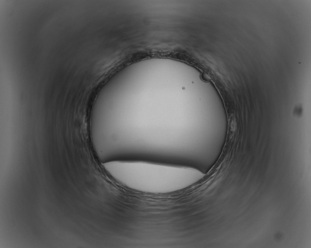 X0000102351252200808081146