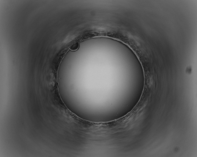 X0000102351253200808081146