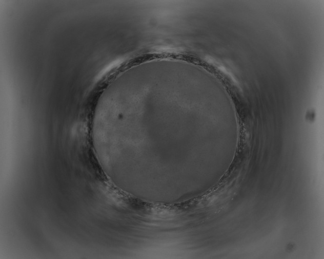 X0000102351254200808081146