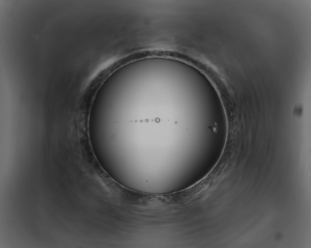 X0000102351255200808081146