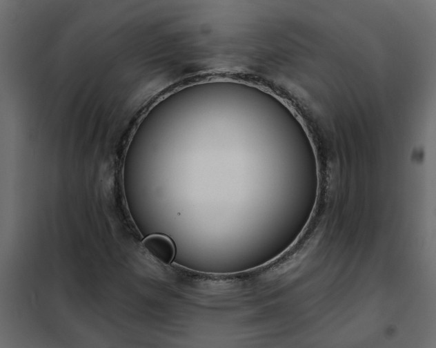 X0000102351257200808081146