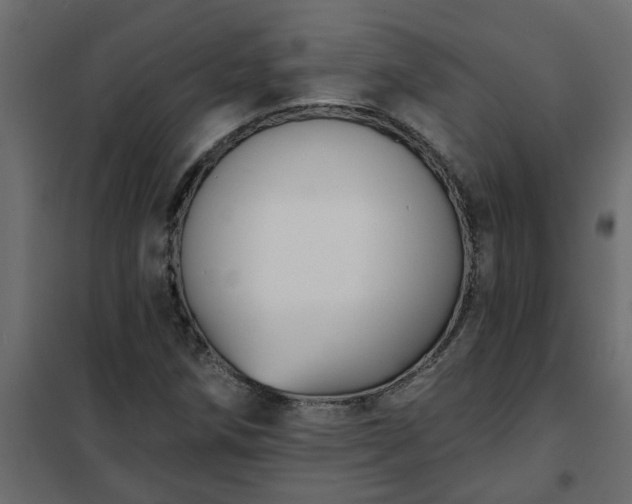 X0000102351258200808081146